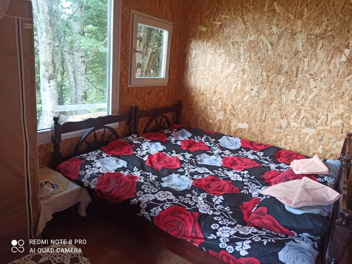 Hotel Katun Ljeljenak Plužine Esterno foto