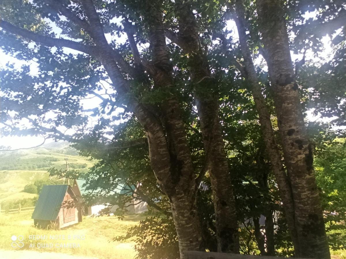 Hotel Katun Ljeljenak Plužine Esterno foto