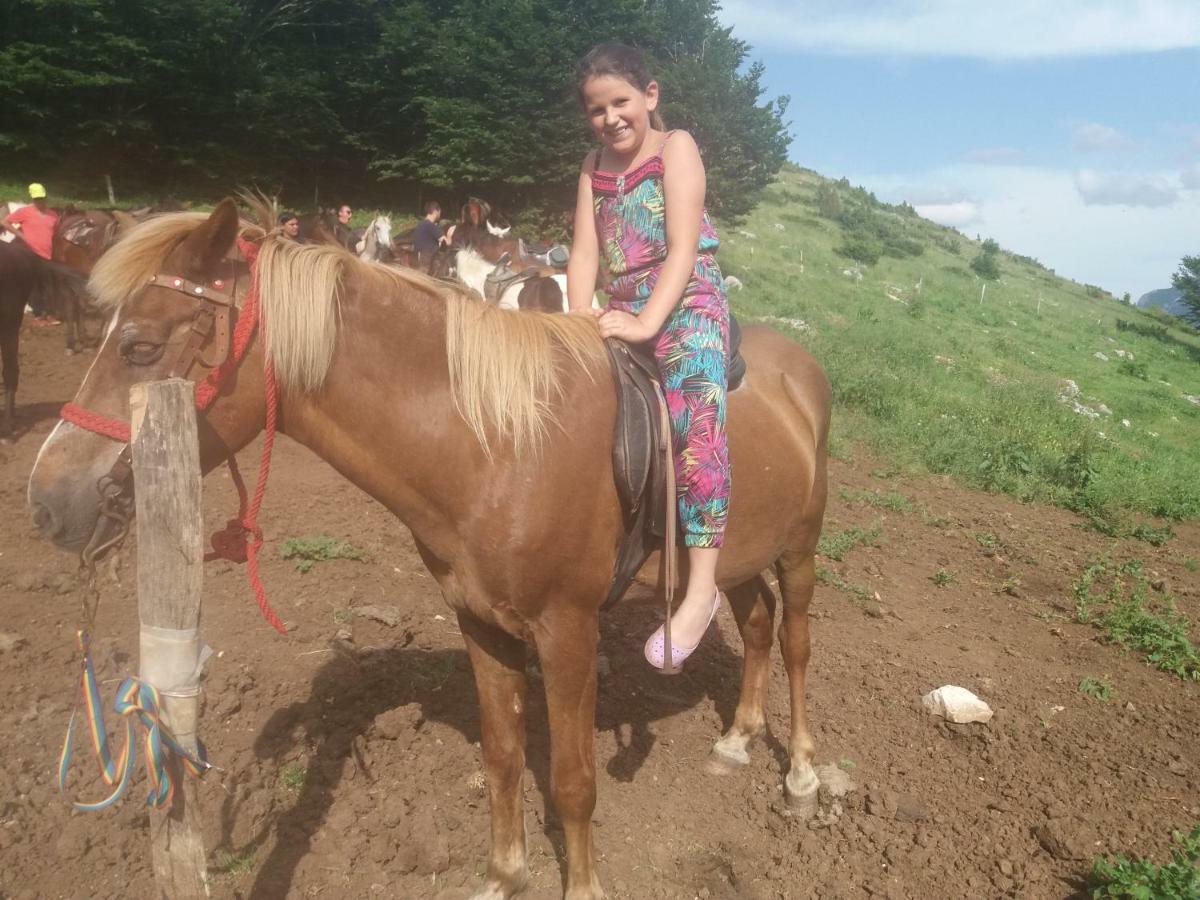 Hotel Katun Ljeljenak Plužine Esterno foto