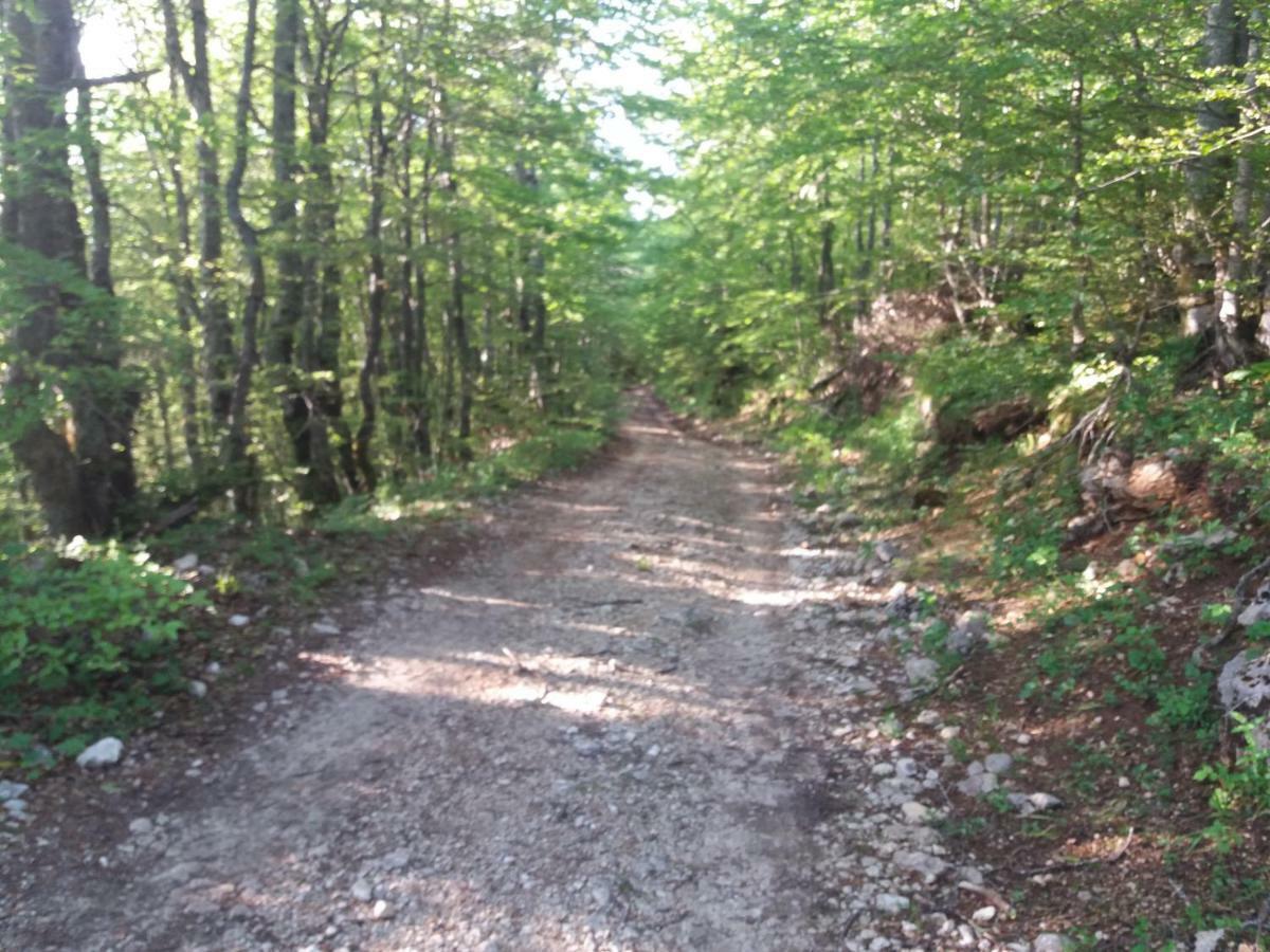 Hotel Katun Ljeljenak Plužine Esterno foto