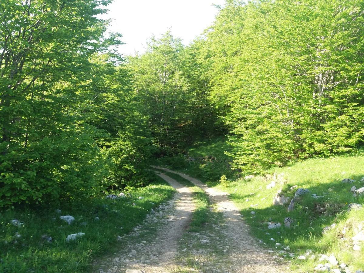 Hotel Katun Ljeljenak Plužine Esterno foto