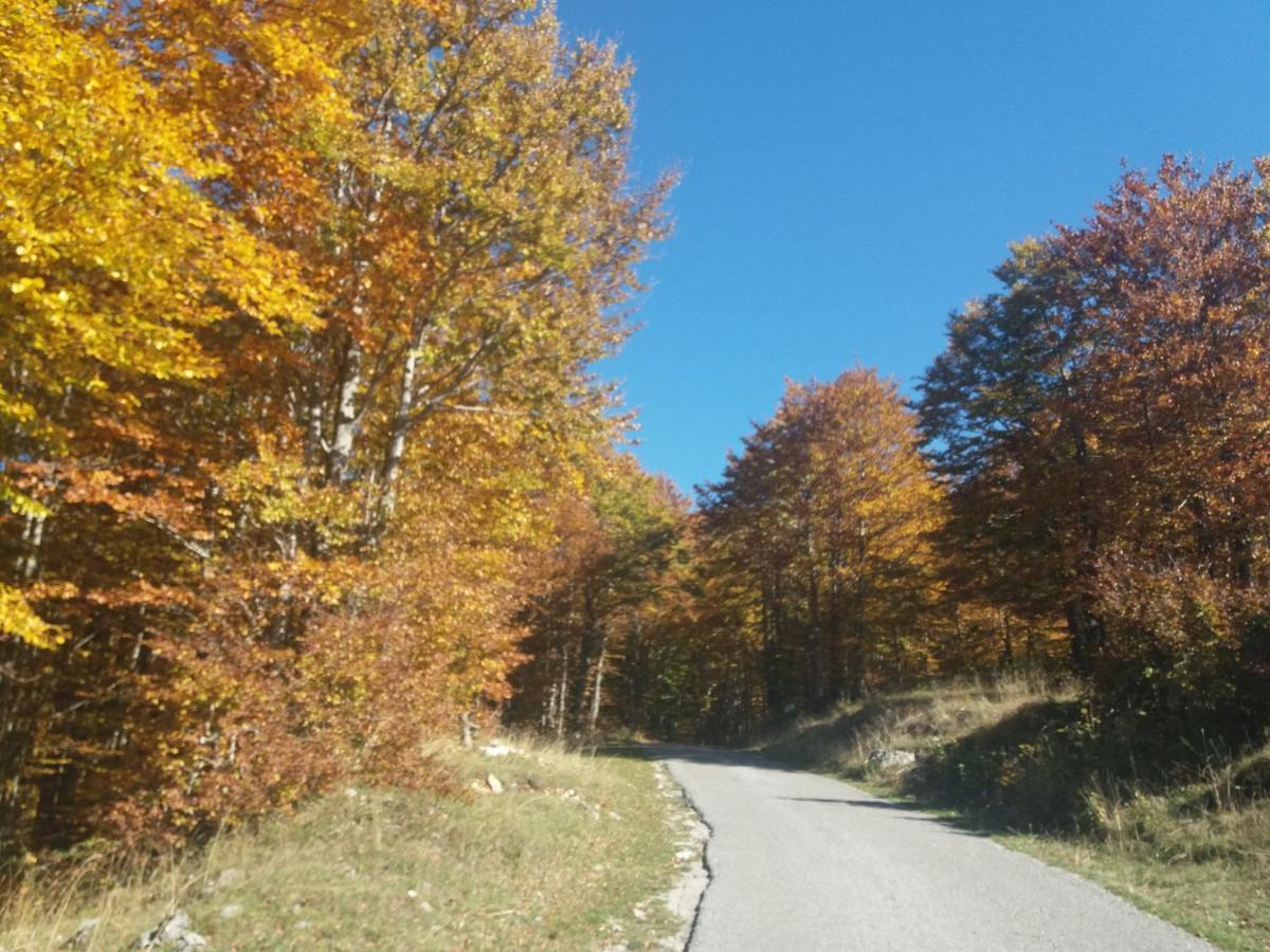 Hotel Katun Ljeljenak Plužine Esterno foto