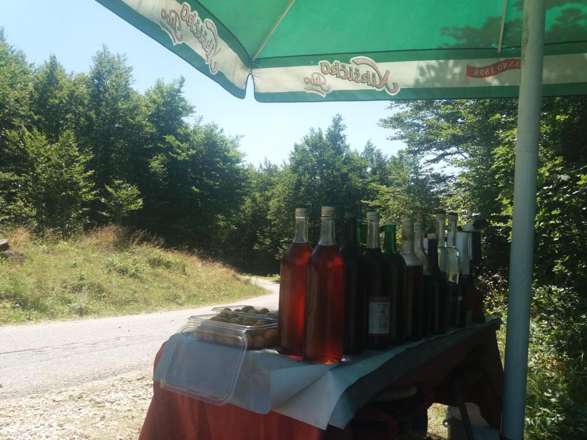 Hotel Katun Ljeljenak Plužine Esterno foto