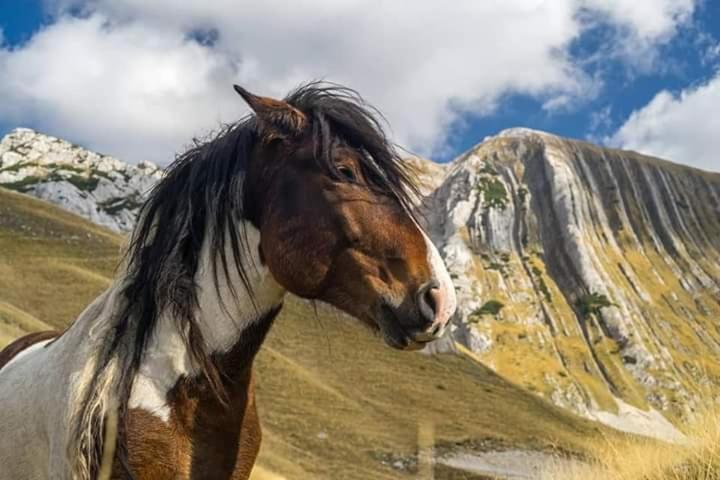 Hotel Katun Ljeljenak Plužine Esterno foto